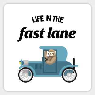 Sloth Driving a Car - Life In The Fast Lane Magnet